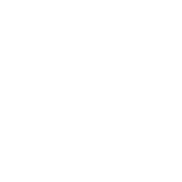 avi/Folio